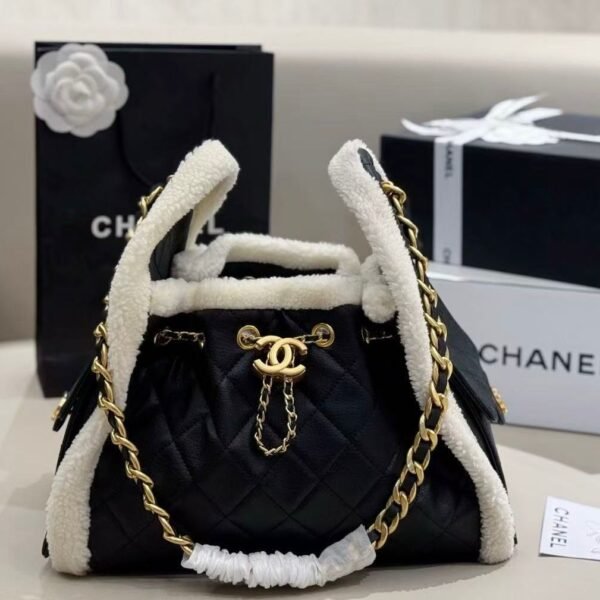Chanel 25 Small Handbag